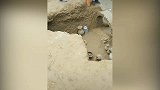 【河南】洛阳火车站售票大厅前挖出古墓 旅客进站就能看到