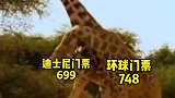 环影开业，迪士尼都急的跳脚了