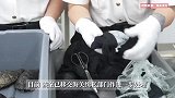 两女子入境步伐僵硬，裙子底下竟藏68只活乌龟！海关提醒