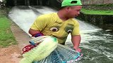 一场大暴雨过后，江西绿帽小伙儿，水闸口偷袭一网捕到好多大鱼