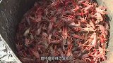 它繁殖能力超强，人类每年吃掉近60万吨，却依旧泛滥成灾！