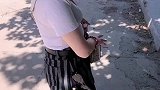 你好问一下湿地怎么走啊