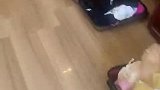 混吃混喝小牛忙的视频