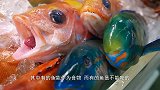 日本厨师处理拿破仑鱼，一壶热水浇下去，神奇现象还是第一次见