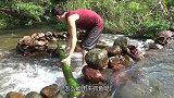 越南小伙用石头制作捕鱼器，竟然可以捕到很多鱼，网友：太绝了！
