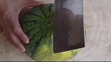 我们吃的西瓜，原来可以这样切，看完又学会一招！