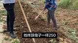 看给婆婆气的