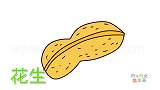蔬菜简笔画大全，画花生简笔画