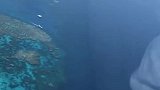 凯恩斯大堡礁
