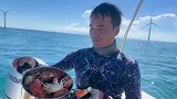 打鱼吃海鲜大餐惹来眼红,继续捕大鱼凭本事数钱,是最好的反击!