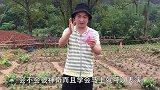 教你一招简单又好玩的魔术，餐桌上就能表演，学会后骗朋友玩