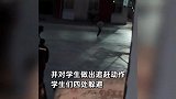“疯牛”闯入校园疯狂追逐学生，警车果断出击：以为要击毙，没想到这么直接