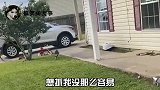 猫咪别着急马上就修好了，再给我拿个扳手！