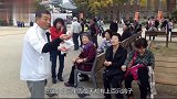 干净到令人“窒息”的日本，鸽子霸占广场，看不到一点垃圾痕迹！