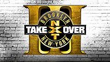 WWE-17年-NXT接管大赛布鲁克林3全程（中文字幕）-全场