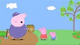 小猪佩奇：佩奇乔治可真乖，要帮爷爷的忙，到地里面抓蚯蚓
