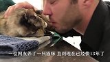 狗狗在公交站台流泪，每停下一辆车都会上前看看，它为何这样做