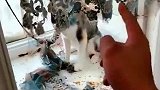家里是进贼了么