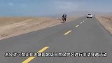 网友拍到独腿男子徒步穿越羌塘无人区,当地:曾多次劝返他不听