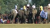 旅游-尼泊尔国际大象节 大象参加足球赛