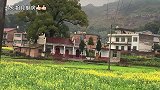蕨菜炒腊肉是道好菜，就是太费米饭了，我吃了两大碗