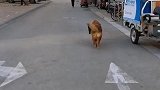 看我能干吧，会帮麻麻取快递