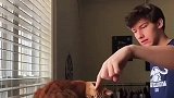 小猫咪为什么会害怕黄瓜呢