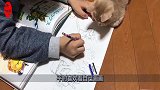 猫咪看主人画画，几分钟后就不淡定了，开始动手动口了！