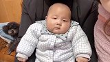 小小年纪就有进演艺圈的潜质,导演,一句话立马入戏,真是佩服