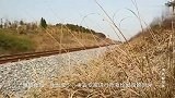 一古墓被盗墓贼光顾几十次，里面陪葬品一件没少，原因简单粗暴