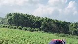 网上超火的视频，姑娘一秒变身，难怪城里娶不下媳妇！