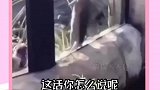 越沙雕越快乐，你学会了吗