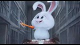 一只超级萌的兔子，却是一心想报仇的黑帮老大，还分分钟带你飙车