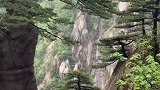 破石而生，寿逾千年，挥展双臂，热情欢迎五湖四海宾客的到来