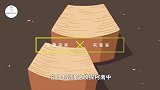 贾斯特罗错觉是什么？将木板上下排放，有趣的科学现象发生了