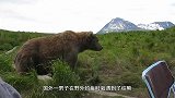 男子在森林中骑自行车，突然一头棕熊冲了出来，上演生死时速