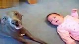 看小狗是怎样哄小孩睡觉的