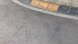 送礼你都不会送，还给老子送个淀粉肠