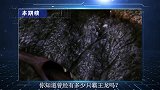 你知道曾经有多少只霸王龙吗？科学家给出答案，25亿只！