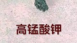一个物理与化学结合的取火小实验，野外生存又学会一招！