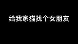 希望它能把握好这最后一次机会