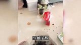 女孩搬走留满屋垃圾都生蛆了 中介：押金衣物都不要了