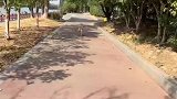 我承受不住你的爱