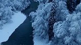 八连，第一场雪，美得让人窒息