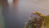 秋天的海边太美了，像到了仙境一般