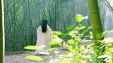 女主为擒山贼，竟让男主男扮女装，别说还真香