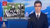 个个业界翘楚、央视宣发，朱广权给大家介绍一个顶流组合