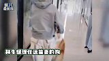 林生斌与现任罕见同框！两人与亡妻爱犬玩耍，笑得超开心画面讽刺