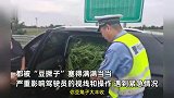 男子SUV拉满车豆角被查，民警开车门后眼前一黑：想起家里的豆橛子