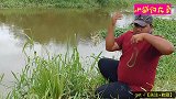 小河野钓，鱼儿野性十足，力气大的超出想象！
